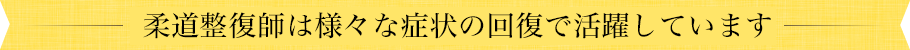 柔道整復師は様々な症状の回復で活躍しています