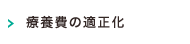 療養費の適正化