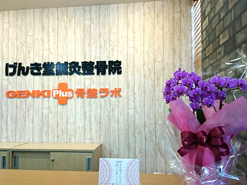 げんき堂鍼灸整骨院／GENKI Plus 骨盤ラボ　高崎小鳥
