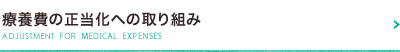 療養費の正当化への取り組み